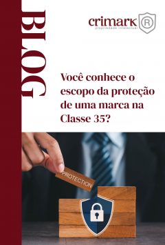 Classe 35 do INPI: Proteção para empresários